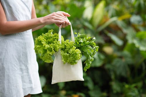 bag of lettuce